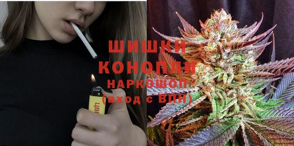 мдпв Пестово